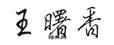 駱恆光王曙香行書個性簽名怎么寫