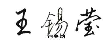 駱恆光王錫瑩行書個性簽名怎么寫