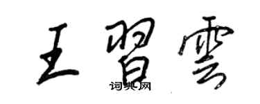 王正良王習雲行書個性簽名怎么寫