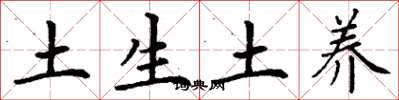 丁謙土生土養楷書怎么寫
