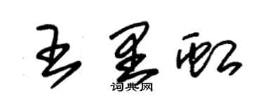 朱錫榮王里虹草書個性簽名怎么寫