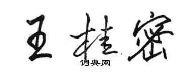 駱恆光王桂密行書個性簽名怎么寫