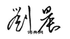 駱恆光劉晨草書個性簽名怎么寫