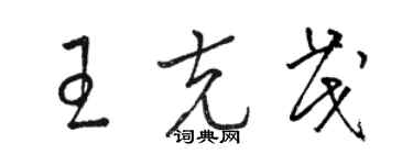 駱恆光王克茂草書個性簽名怎么寫