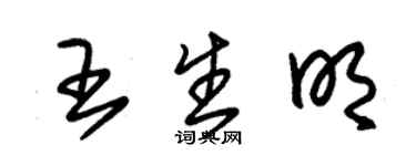 朱錫榮王生明草書個性簽名怎么寫