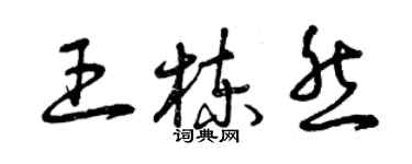 曾慶福王棟然草書個性簽名怎么寫