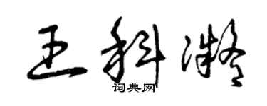 曾慶福王科凝草書個性簽名怎么寫