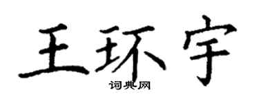 丁謙王環宇楷書個性簽名怎么寫