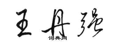 駱恆光王丹強行書個性簽名怎么寫