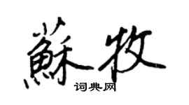 王正良蘇牧行書個性簽名怎么寫