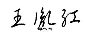 梁錦英王胤紅草書個性簽名怎么寫