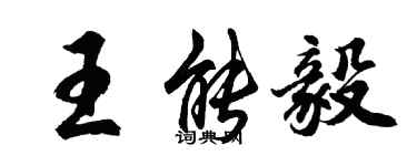 胡問遂王能毅行書個性簽名怎么寫