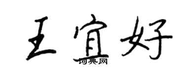 王正良王宜好行書個性簽名怎么寫