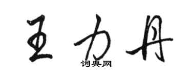 駱恆光王力丹行書個性簽名怎么寫