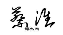 朱錫榮蔡淮草書個性簽名怎么寫