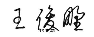 駱恆光王俊野草書個性簽名怎么寫