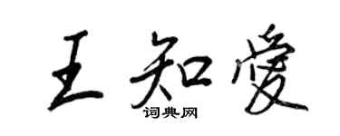王正良王知愛行書個性簽名怎么寫