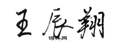 駱恆光王辰翔行書個性簽名怎么寫