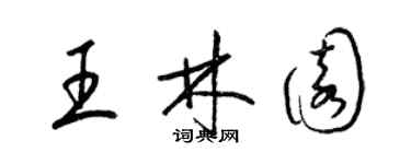 梁錦英王林園草書個性簽名怎么寫
