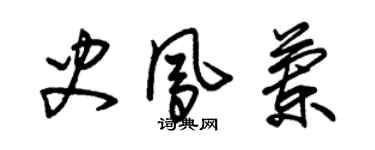 朱錫榮史鳳蘭草書個性簽名怎么寫