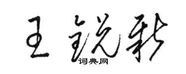 駱恆光王銳新草書個性簽名怎么寫