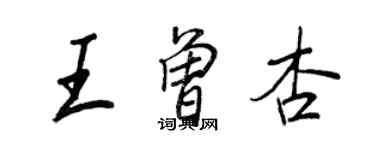 王正良王曾杏行書個性簽名怎么寫