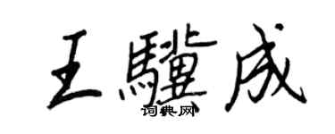 王正良王驥成行書個性簽名怎么寫
