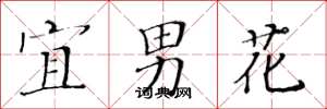 黃華生宜男花楷書怎么寫