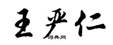 胡問遂王嚴仁行書個性簽名怎么寫