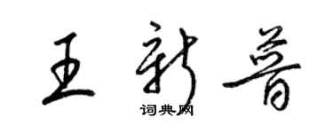 梁錦英王新普草書個性簽名怎么寫