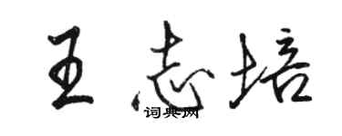 駱恆光王志培行書個性簽名怎么寫