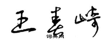 曾慶福王春崎草書個性簽名怎么寫