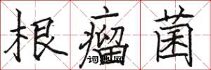 駱恆光根瘤菌楷書怎么寫