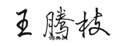 駱恆光王騰枝行書個性簽名怎么寫