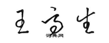 駱恆光王高生草書個性簽名怎么寫