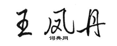 駱恆光王鳳丹行書個性簽名怎么寫