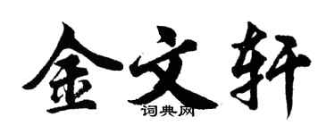 胡問遂金文軒行書個性簽名怎么寫