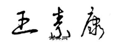 曾慶福王素康草書個性簽名怎么寫