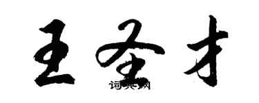 胡問遂王聖才行書個性簽名怎么寫