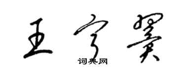 梁錦英王寧翼草書個性簽名怎么寫