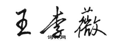 駱恆光王李薇行書個性簽名怎么寫