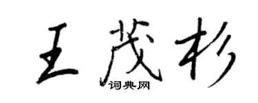 王正良王茂杉行書個性簽名怎么寫