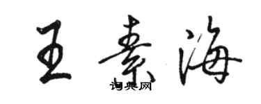 駱恆光王素海行書個性簽名怎么寫