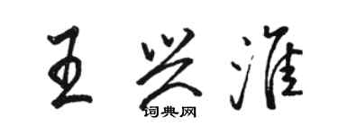 駱恆光王興淮行書個性簽名怎么寫