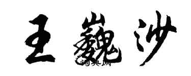 胡問遂王巍沙行書個性簽名怎么寫