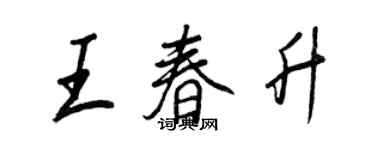 王正良王春升行書個性簽名怎么寫