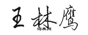 駱恆光王林鷹行書個性簽名怎么寫