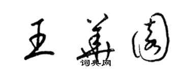 梁錦英王華園草書個性簽名怎么寫