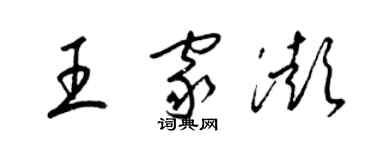 梁錦英王家澎草書個性簽名怎么寫