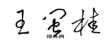 駱恆光王閩桂草書個性簽名怎么寫